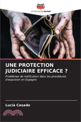 Une Protection Judiciaire Efficace ?