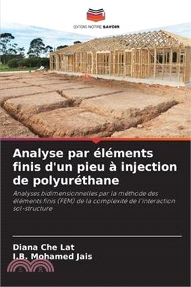 Analyse par éléments finis d'un pieu à injection de polyuréthane