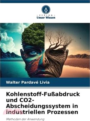 Kohlenstoff-Fußabdruck und CO2-Abscheidungssystem in industriellen Prozessen