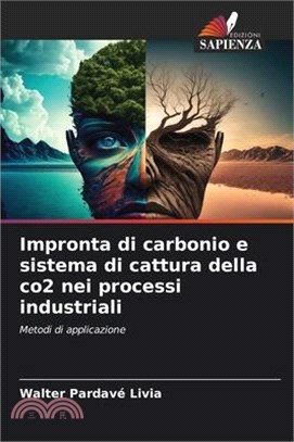 Impronta di carbonio e sistema di cattura della co2 nei processi industriali