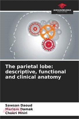 The parietal lobe: descriptive, functional and clinical anatomy