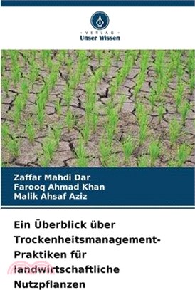 Ein Überblick über Trockenheitsmanagement-Praktiken für landwirtschaftliche Nutzpflanzen