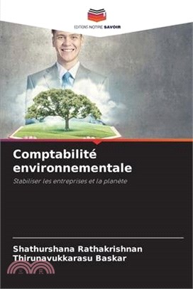 Comptabilité environnementale