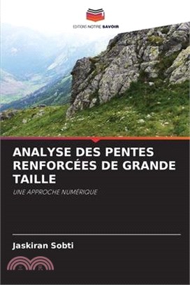 Analyse Des Pentes Renforcées de Grande Taille