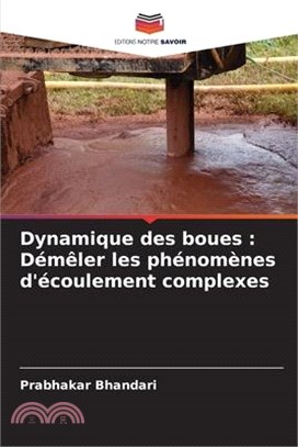 Dynamique des boues: Démêler les phénomènes d'écoulement complexes