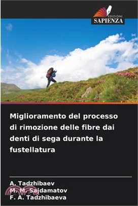 Miglioramento del processo di rimozione delle fibre dai denti di sega durante la fustellatura