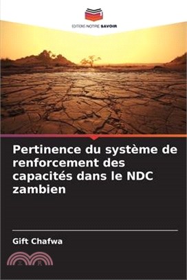 Pertinence du système de renforcement des capacités dans le NDC zambien