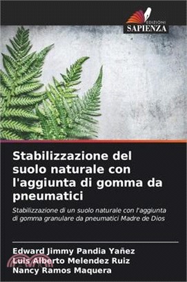 Stabilizzazione del suolo naturale con l'aggiunta di gomma da pneumatici