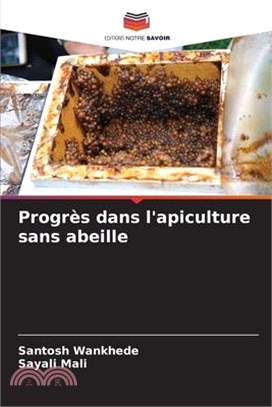 Progrès dans l'apiculture sans abeille