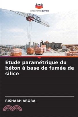 Étude paramétrique du béton à base de fumée de silice