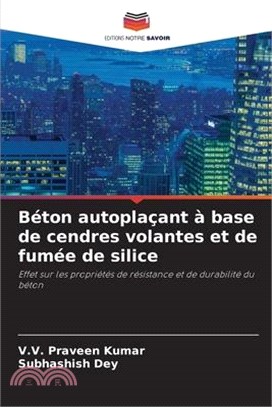 Béton autoplaçant à base de cendres volantes et de fumée de silice