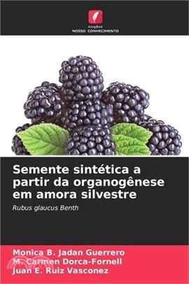 Semente sintética a partir da organogênese em amora silvestre