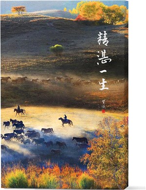 精湛一生：追光躡影．通天盡人-甘侯攝影集 | 拾書所