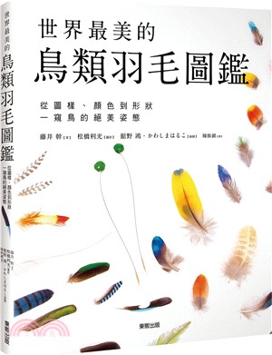 世界最美的鳥類羽毛圖鑑：從圖樣、顏色到形狀一窺鳥的絕美姿態