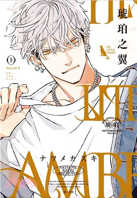 HIS LITTLE AMBER 琥珀之翼（上）