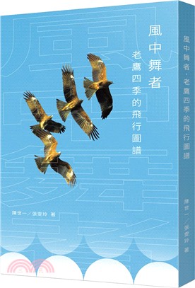 風中舞者：老鷹四季的飛行圖譜