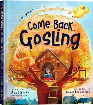 小雁，快回來！書籍封面圖片