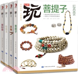 玩系列(全四冊)（簡體書）