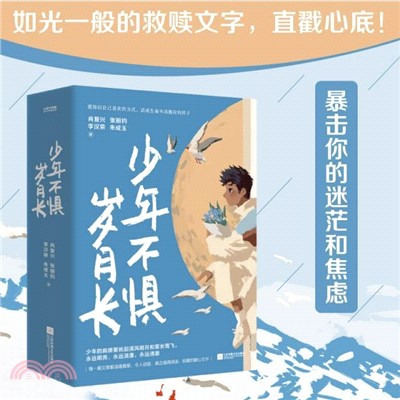 少年不懼歲月長(全4冊)（簡體書）