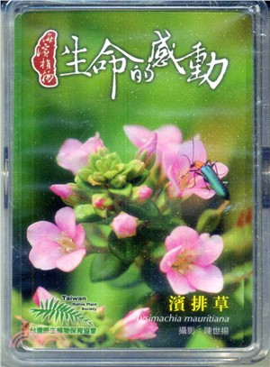 海濱植物：生命的感動（撲克牌）