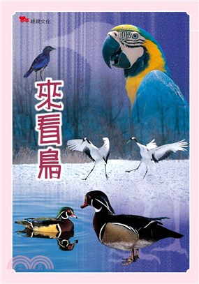 中文大書-來看鳥