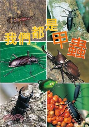 中文大書-我們都是甲蟲