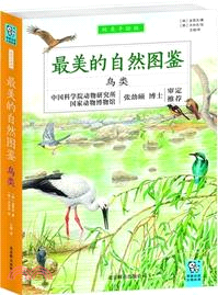 最美的自然圖鑑：鳥類（簡體書）