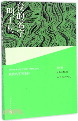 我的名字叫王村（簡體書）