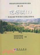 花石浪(1)﹕洛南盆地曠野型式舊石器地點群研究(簡體書)