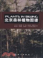 北京森林植物圖譜（簡體書）