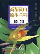 高黎貢山原生蘭科植物（簡體書）