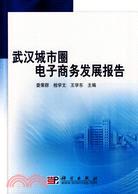 武漢城市圈電子商務發展報告（簡體書）