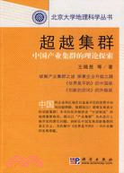 超越集群：中國產業集群的理論探索（簡體書）