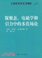 凝聚態、電磁學和引力中的多值場論（簡體書）