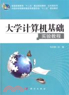 大學計算機基礎實驗教程（簡體書）