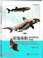 深海魚影：海洋脊椎動物的奧秘（簡體書）