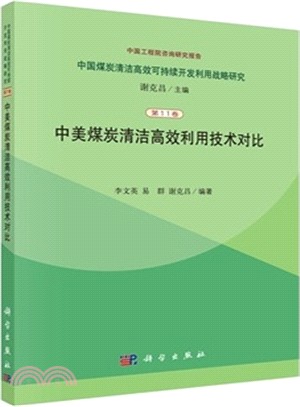 中美煤炭清潔高效利用技術對比（簡體書）