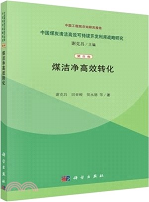 煤潔淨高效轉化（簡體書）