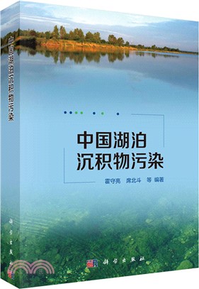 中國湖泊沉積物污染（簡體書）