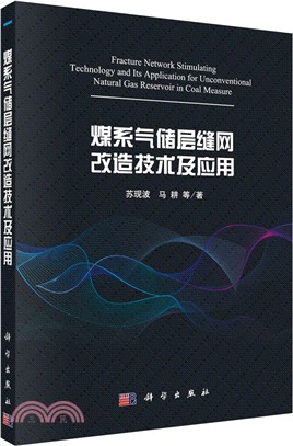 煤系氣儲層縫網改造技術及應用（簡體書）