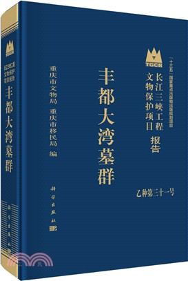 豐都大灣墓群（簡體書）