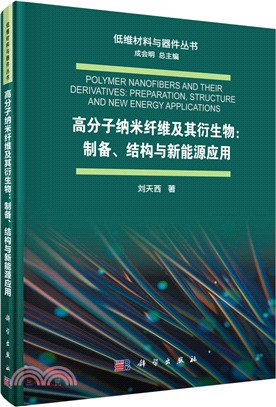 高分子納米纖維及其衍生物：製備、結構與新能源應用（簡體書）