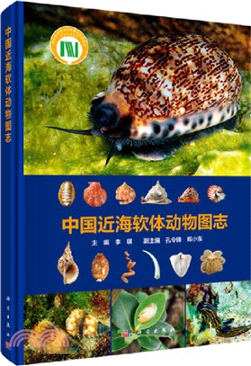 中國近海軟體動物圖志（簡體書）