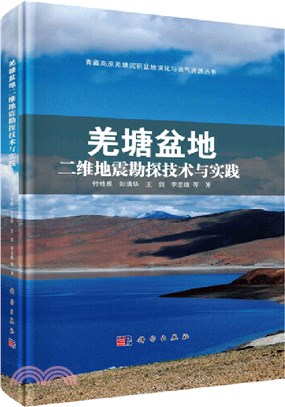 羌塘盆地二維地震勘探技術與實踐（簡體書）