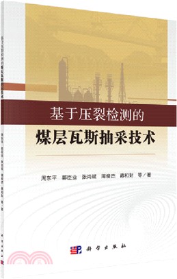 基於壓裂檢測的煤層瓦斯抽采技術（簡體書）