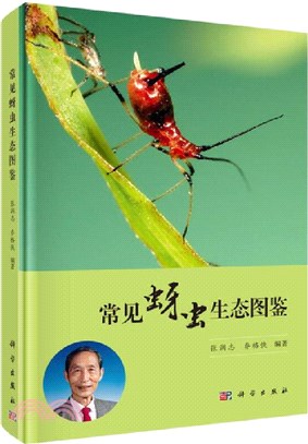 常見蚜蟲生態圖鑒（簡體書）