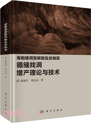 海相縫洞型碳酸鹽岩儲層循縫找洞增產理論與技術（簡體書）