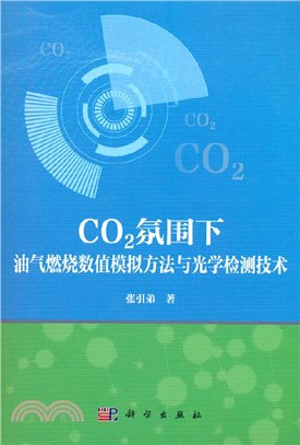 CO2氛圍下油氣燃燒數值模擬方法與光學檢測技術（簡體書）