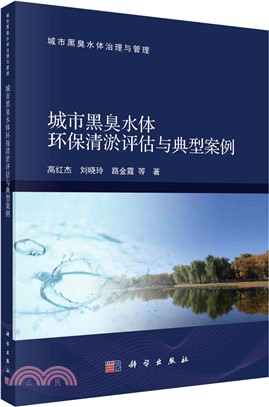 城市黑臭水體環保清淤評估與典型案例（簡體書）