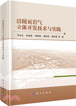 涪陵葉岩氣立體開發技術與實踐（簡體書）